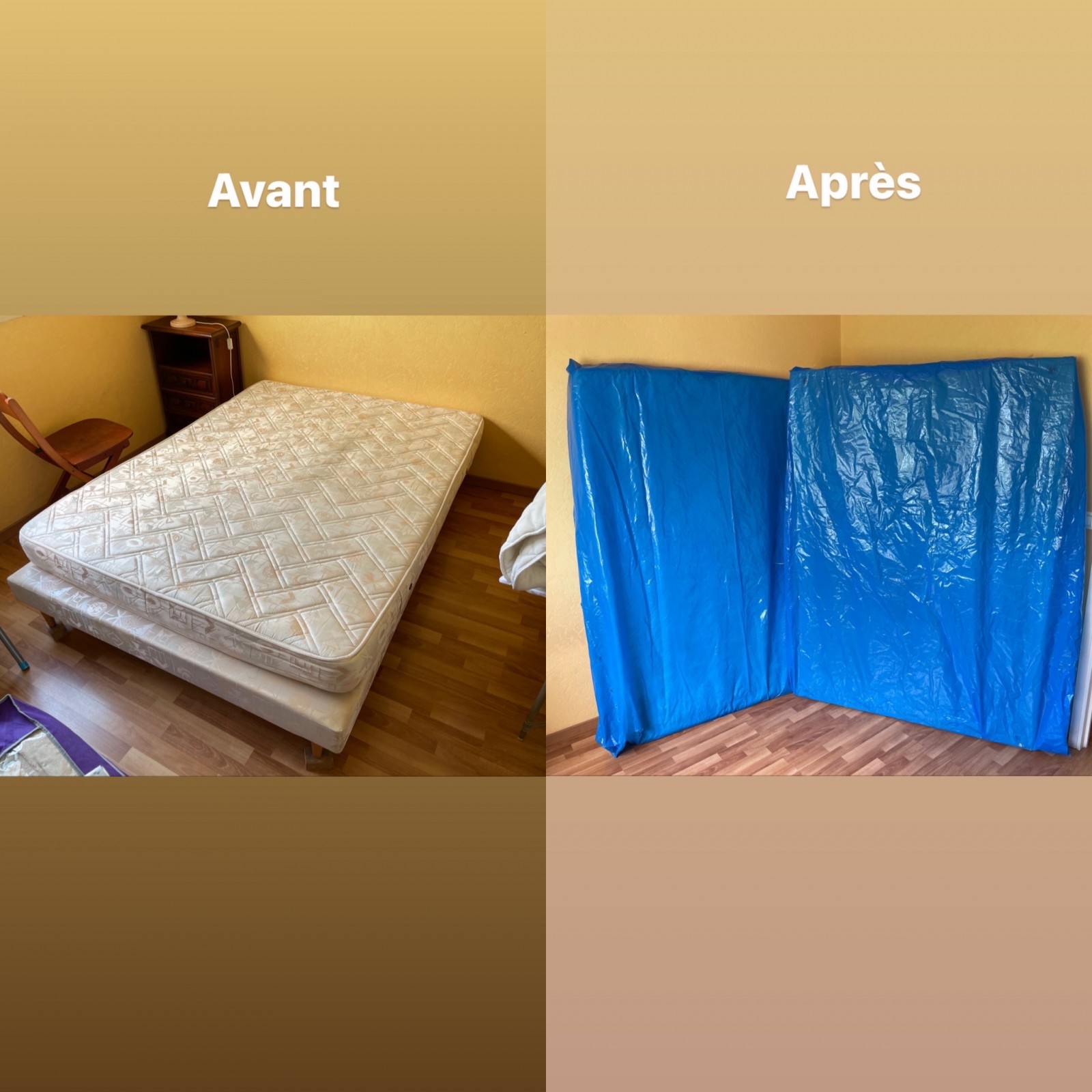 pourquoi faire appel à un déménageur professionnel comme l'entreprise Botte et Sardelli pour déménagement local dans les Alpes Maritimes?